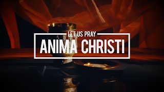 Pray  The Anima Christi [upl. by Meit501]