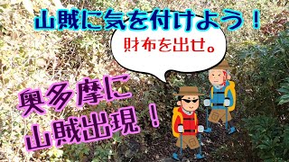 登山の際は山賊に気を付けよう！～奥多摩に出没した凶悪な山賊～ [upl. by Nadine830]