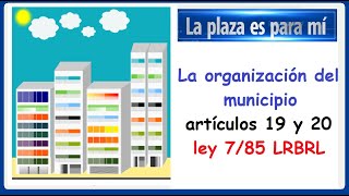 laplazaesparami 🟢 La organización del Municipio art 19 y 20 ley 785 [upl. by Andreana]