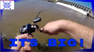 I Hooked Something BIG  Fishing Keystone Dam [upl. by Nivel]