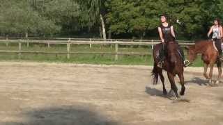 Cours de dressage Sonia et Wendy [upl. by Anowahs582]