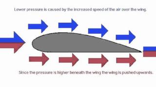 Bernoullis Principle [upl. by Adnawat]