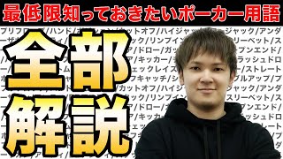 【見るだけで完璧】ポーカー用語を世界一わかりやすく解説します。 [upl. by Willabella736]