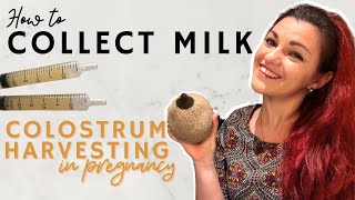 Hand Expression In Pregnancy  How To Collect Colostrum [upl. by Arikal543]