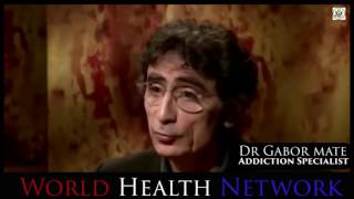 Dr Gabor Mate How Addiction Works [upl. by Herculie776]