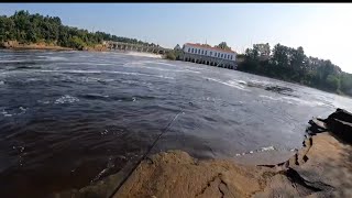 Walley White Bass and Smallmouth The Wisconsin Dells Dam [upl. by Gamaliel]