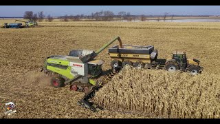 2019 Illinois Corn Harvest with On Track Farming Inc [upl. by Ikiv]