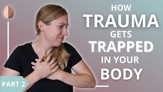 How Trauma Gets Trapped in Your Body and Nervous System 23 [upl. by Arej]