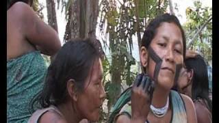 Amazon Tribes of the Xingu [upl. by Annaoy967]