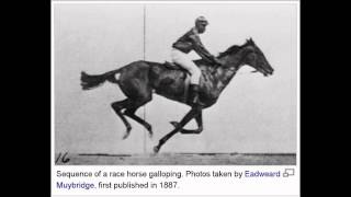 Horse Racing  Early Film Slow Motion Photography  1887 [upl. by Ahsiemaj]