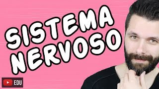 SISTEMA NERVOSO  FISIOLOGIA  Aula  Biologia com Samuel Cunha [upl. by Adym]