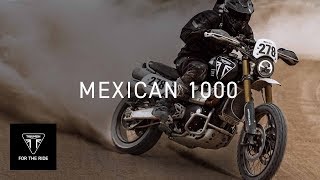 New Scrambler 1200 XE completes Mexican 1000 [upl. by Ney]