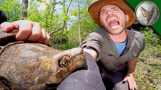 CRAZY Alligator Snapping Turtle Bite [upl. by Airamesor]