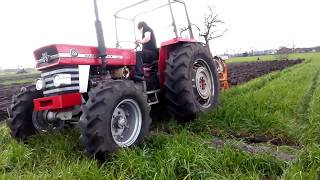 Massey Ferguson 155 [upl. by Bueschel]