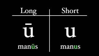 The Latin Alphabet  Vowel Pronunciation [upl. by Roath]