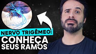 NERVO TRIGÊMEO CONHEÇA SEUS RAMOS [upl. by Stephani511]