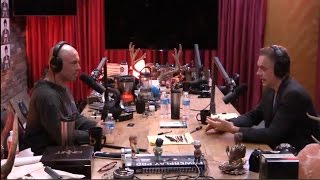 Jordan Peterson Clarifies His Gender Pronoun Stance  The Joe Rogan Experience [upl. by Neurath]