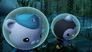 Octonauts and the Swashbuckling Swordfish  Full Episode [upl. by Greerson]