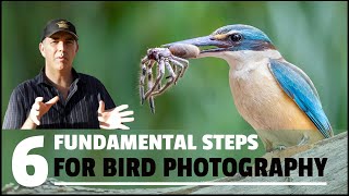 SIX FUNDAMENTAL steps to take HIGH QUALITY bird photographs [upl. by Esirtal305]