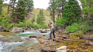 Fly Fishing the most INCREDIBLE Stream in Wyoming  Fly Fishing Wyoming part 3 [upl. by Ynnavoeg]