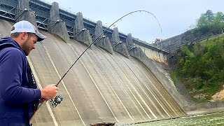 Fishing Below a Massive Dam For Anything That Will Bite [upl. by Kowatch]