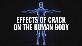 Science Behind Addiction Crack [upl. by Meagher101]