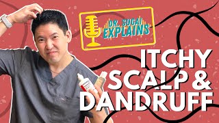 Dr Sugai Explains Itchy Scalp and Dandruff What Shampoos to Consider [upl. by Zane492]