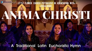 Anima Christi  Soul of Christ  Traditional Latin Hymn [upl. by Sinegra]