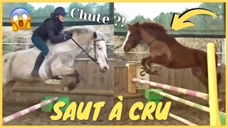 COURS Saut dobstacles à cru et Dream saute 1 mètre 🤪  200221  CSo Landreau [upl. by Eilatam]