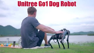 Unitree Go1 Robot  Unitree Dog Robot [upl. by Venola169]