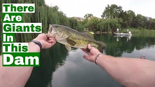 Best Bass Fishing Dam In Johannesburg Ever Diawa Tatula SV TW 103SH Baitcaster And Rod Review [upl. by Halden]