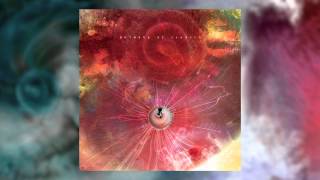 ANIMALS AS LEADERS  The Woven Web [upl. by Gnos]