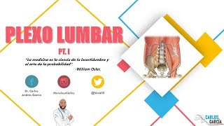 Anatomía  Plexo Lumbar Pt I Constitución Relaciones Ramos Colaterales [upl. by Nahtaj]