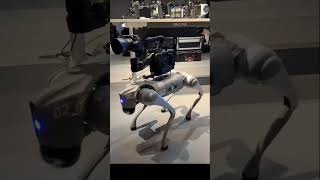 Unitree Go2  Most intelligence robot dog [upl. by Norreg930]