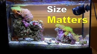 The Truth about the Fluval Evo V  Size [upl. by Agnella584]