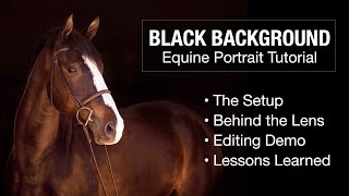 Black Background Equine Portrait Tutorial [upl. by Jocelin564]