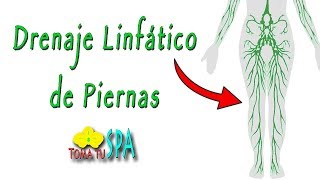 DRENAJE LINFÁTICO DE PIERNAS EN TRES PASOS AUTOMASAJE [upl. by Ianej793]