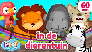 Pretlettertjes • Dierengeluiden in de Dierentuin • 60 min Special [upl. by Hilary]