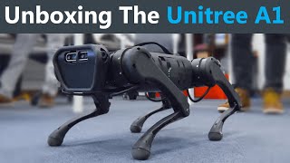 Unboxing a LowCost Robot Dog [upl. by Cutlip]