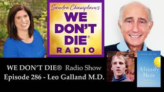 286 Leo Galland MD quotAlready Here  A Doctor Discovers the Truth About Heaven” [upl. by Drofliw]