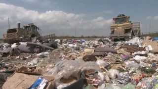 Tossed Out Food Waste in America [upl. by Wohlen545]