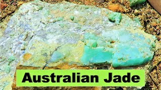 Found A Mountain Full of Australian Jade  Chrysoprase [upl. by Idnib]