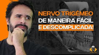 NERVO TRIGEMEO ÁREA DA INEVAÇÃO [upl. by Stuppy270]