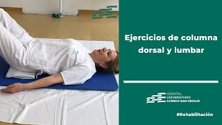 Ejercicios de columna dorsal y lumbar [upl. by Anaeed]