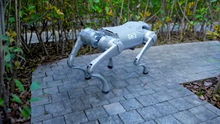 Unitree Go2 Robot Dog EXPOSED Shocking Truth About This AI Quadruped [upl. by Lekcar]