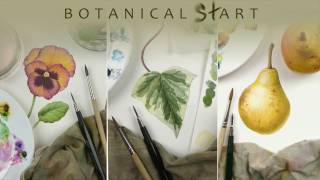 Watercolour techniques used for botanical art [upl. by Alram]