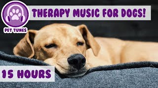 How to Relax my Dog in my House New Calming Music Has Helped Over 4 Million Pets  Pet Therapy [upl. by Llerdnek394]