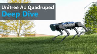 Unitree A1 Quadruped Deep Dive [upl. by Elohcan266]