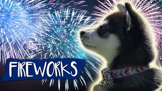 Fireworks Noise Desensitization For Dogs [upl. by Inafit]