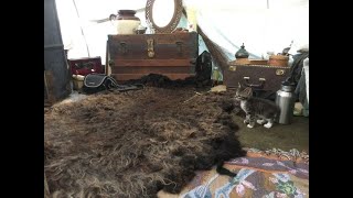 Wet Felting a Raw Sheeps Fleece into a NoKill Sheepskin Rug [upl. by Alhak516]